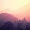month-of-metta-online-yoga
