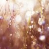 spontaneous-joy