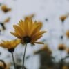 spring-equinox-yin-yoga